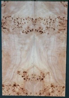 CARVED TOP AAA  DISTELPAPPEL