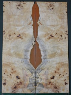 Epoxy Burl Poplar