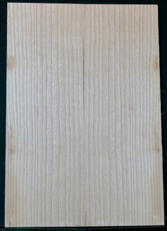 Body  European  Ash 