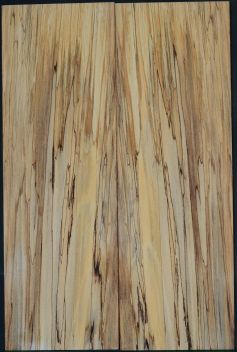 Spalted Beech