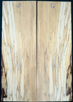 Spalted Birch Top