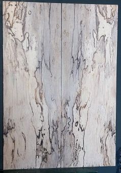 Spalted Maple