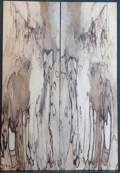 Spalted Maple