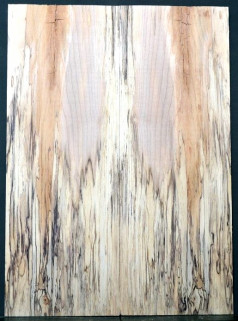 SPALTED MAPLE