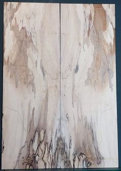 Spalted Maple