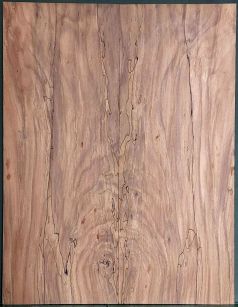 Spalted Walnut