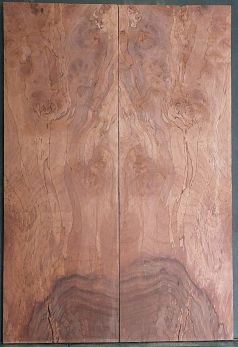 Spalted Walnut
