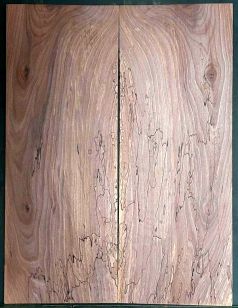 Spalted Walnut