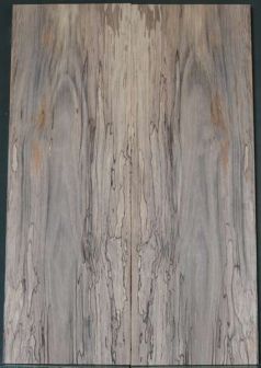 Spalted Walnut Top