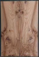 Burl Elm