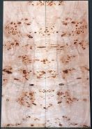 Burl Poplar