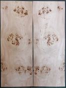 Burl Poplar Top