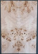 Burl Poplar Top