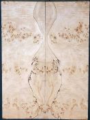 SPALTED Burl Poplar Top