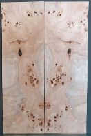 Burl Poplar Top