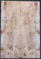 Burl Poplar Top