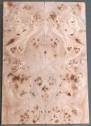Burl Poplar Top