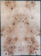 Burl Poplar Top