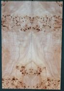 CARVED TOP AAA  DISTELPAPPEL