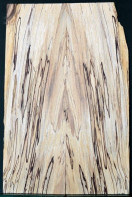 Spalted Beech 5A