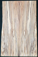 Spalted Beech 5A