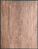 Spalted Walnut