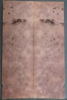 Burl Walnut Top