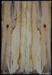 Spalted Maple