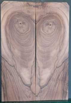 Walnut