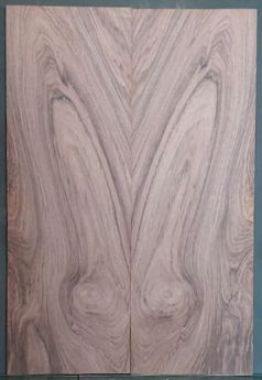 Walnut