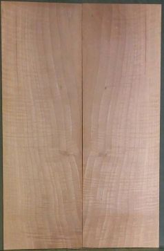 Spalted Walnut