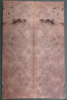 Burl Walnut Top